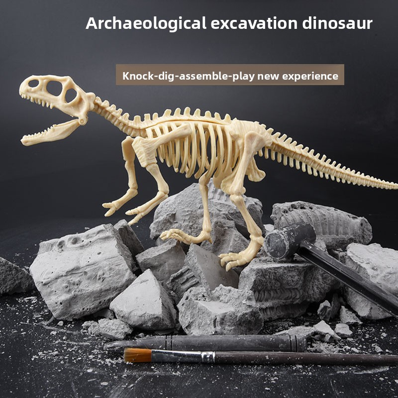 Dinosaur Fossil Excavation Kit - Model Kit Girls 评论和价格