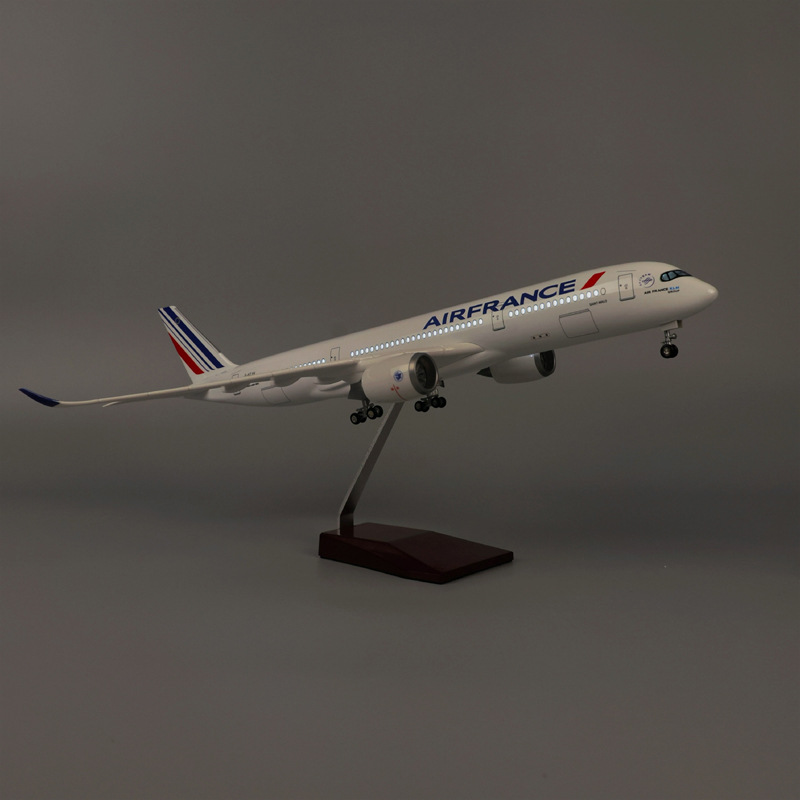 47cm Air France A350 Model Air - Model Kit Aircraft 评论和价格